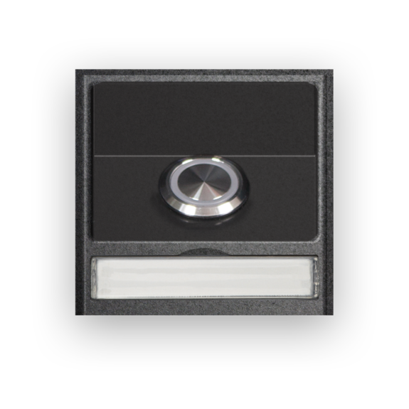1× Edelstahltaster mit blauer Ring-LED Im Schrägauslass